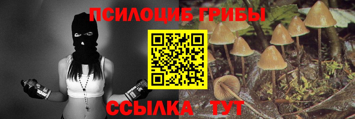 Галлюциногенные грибы MAGIC MUSHROOMS  Псилоцибиновые грибы Magic Shrooms  Вход с VPN  Дагестанские Огни 